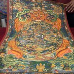 Photo taken by Willow K