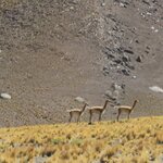 Photo taken by Jananee J