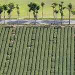 Photo taken by John Mark W