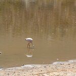 Photo taken by Jananee J