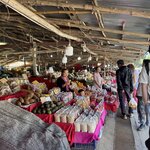 Photo taken by Bailey W