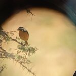 Photo taken by Lisa D