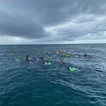 Photo taken by Kelly P