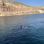 Photo taken by Wendy P