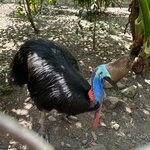 Photo taken by Kolla S