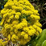 Photo taken by Mike T