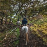 Photo taken by timothy m