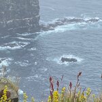 Photo taken by Eliza M