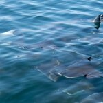 Photo taken by Wilbert A