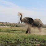 Photo taken by John B