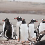 Photo taken by Eric T