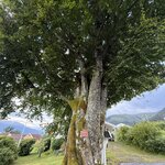 Photo taken by Lara N