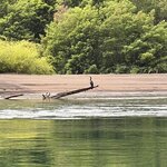 Photo taken by Bern W