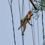 Photo taken by Kristy P