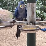 Photo taken by Graciela P