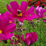 Photo taken by Tamara S