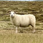 Photo taken by Lisa A