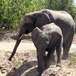 Photo taken by rhonda c