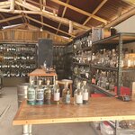 Photo taken by Bree J