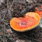 hiking pics - day 5 | Photo taken by ronald d