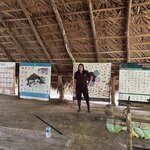 Photo taken by Trish G