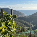 Photo taken by Lauri F