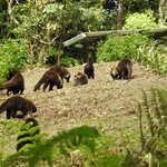 Photo taken by Mary D