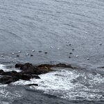 Photo taken by Dawn S