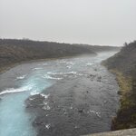 Photo taken by Meg K