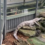 Photo taken by Julie H