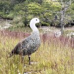 Photo taken by sam s