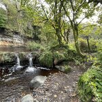 Photo taken by David L