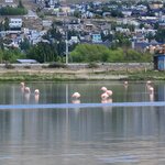 Photo taken by Bao T