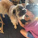 Photo taken by Mark M