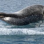 Photo taken by Jon P