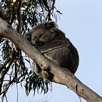 Photo taken by Hari R