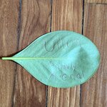 Photo taken by katie u