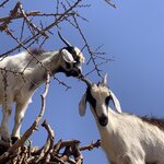 Photo taken by Cynthia F