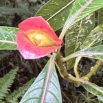 Photo taken by Ben B