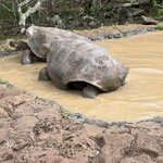 Photo taken by Thomas L