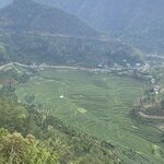 Photo taken by Rachael L