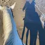 Photo taken by Colleen M