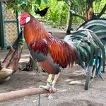 Photo taken by KLAUS A