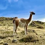 Photo taken by Terry M