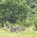 Photo taken by Jeanine B