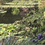 Photo taken by Nina W