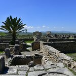 Photo taken by Indra S