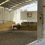 Photo taken by Kevin S