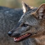 Photo taken by Matt W