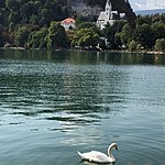 Photo taken by Cindy w